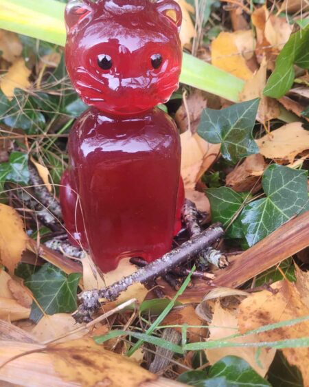 Sirop d'hiver " Chat " - 300 ml