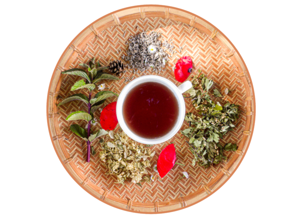 InfuZ' Au dodo – Image 2
