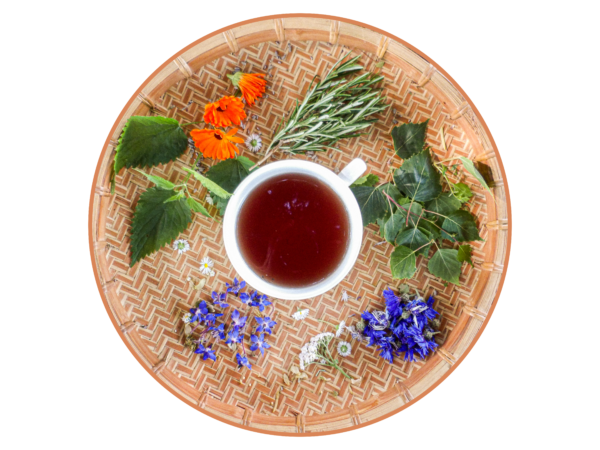 InfuZ' Cellul'it – Image 2