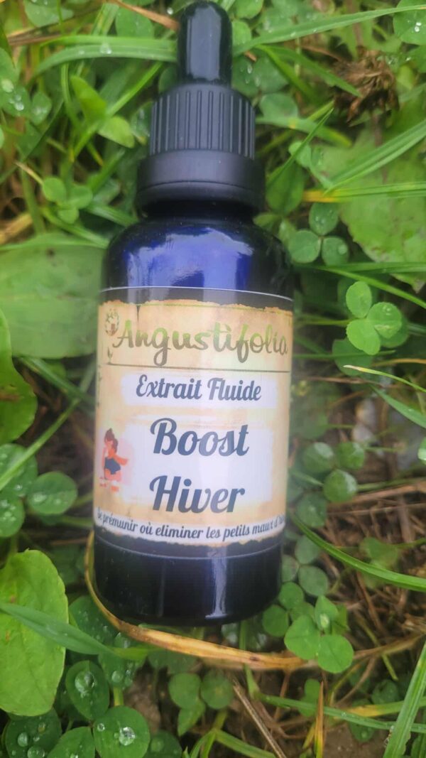 Boost Hiver !