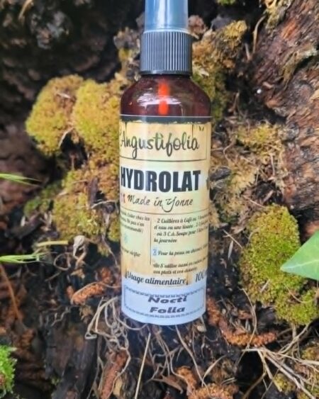Nocti' Folia