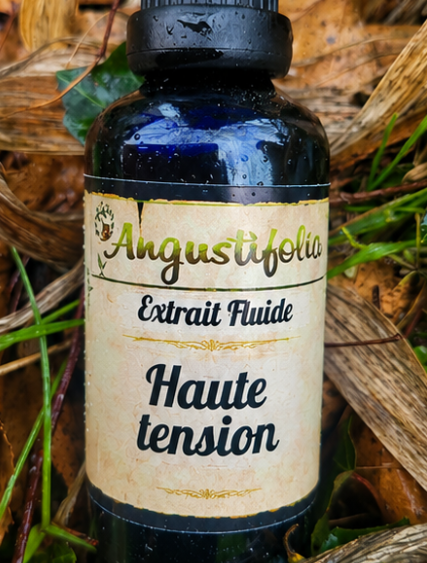 Haute tension