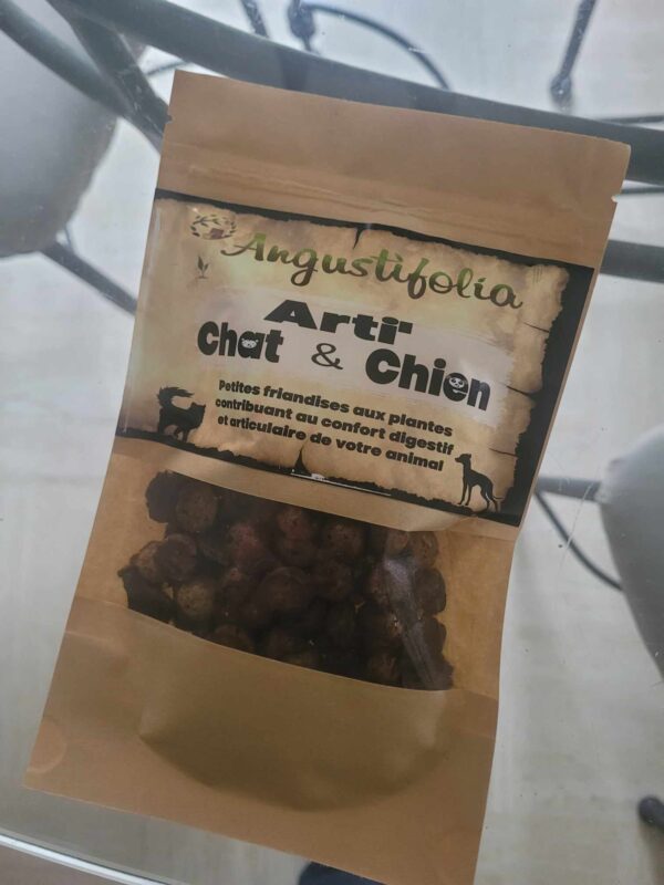 Arti' Chat et Chien