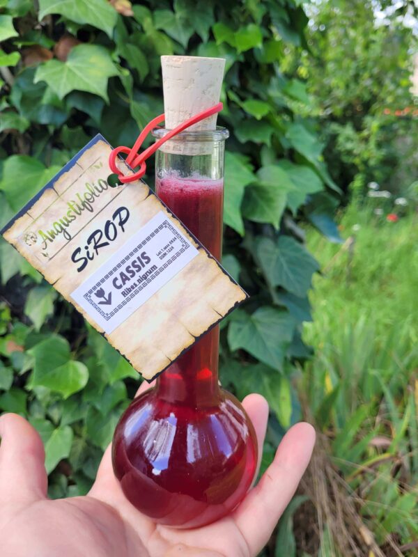 Sirop de Cassis