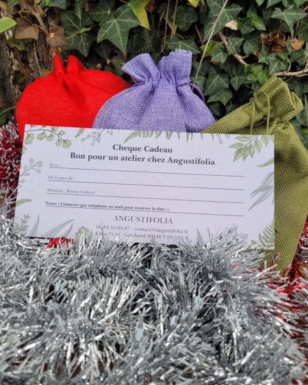 Chèque cadeau " Initiation à l'herboristerie "