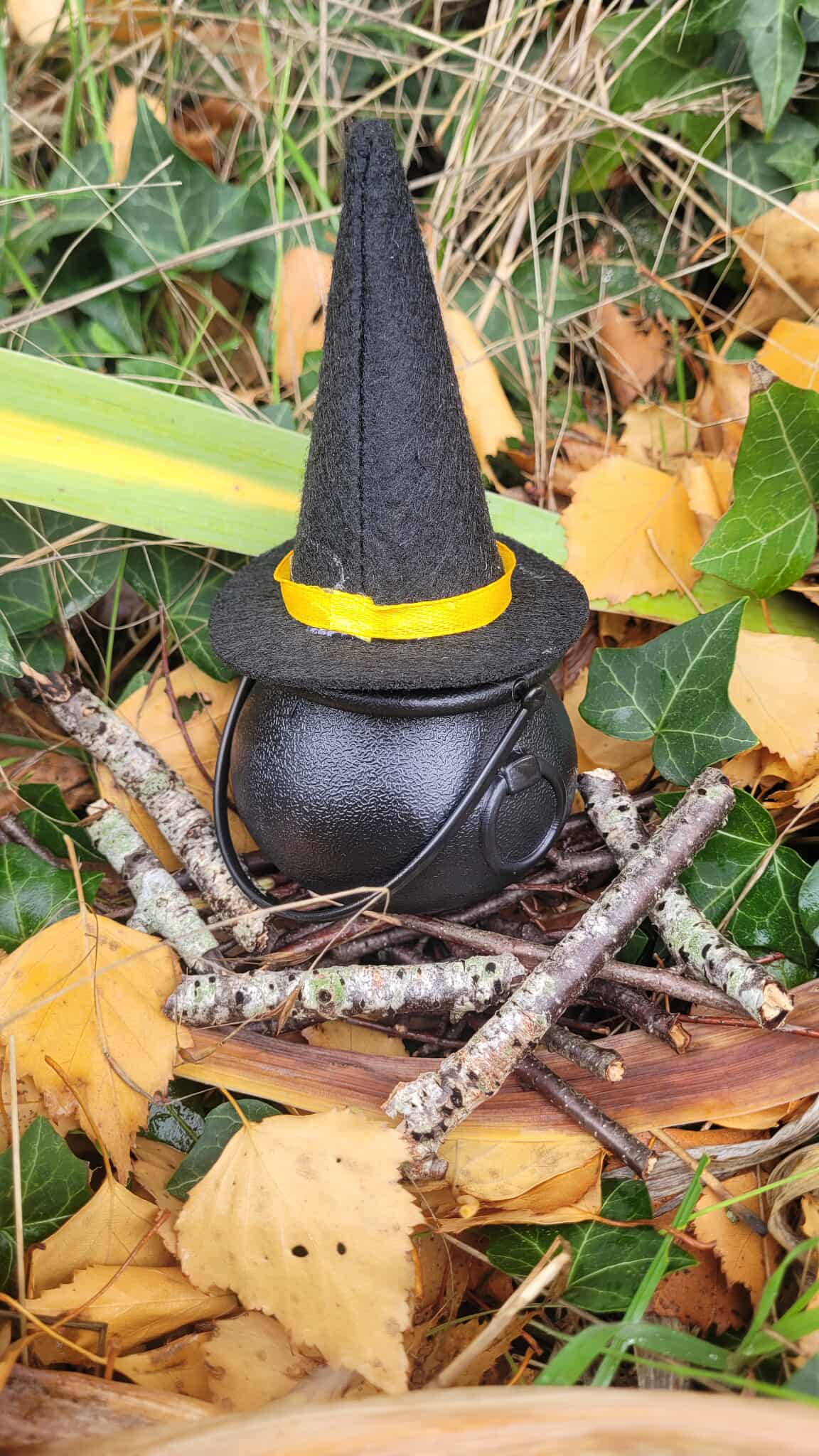 Grand Baume du Sorcier – Image 2