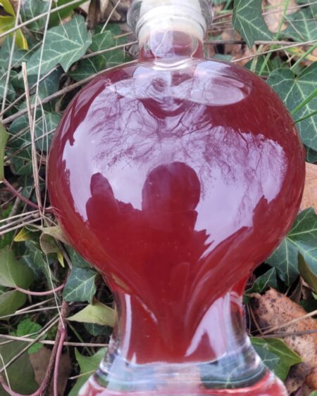 Sirop " Coeur "   Hiver et plaisir